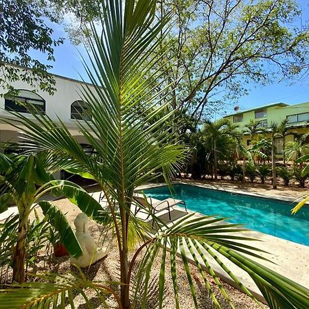 Casa Alice Marbella Lodge Εξωτερικό φωτογραφία