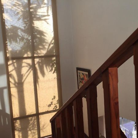 Casa Alice Marbella Lodge Εξωτερικό φωτογραφία