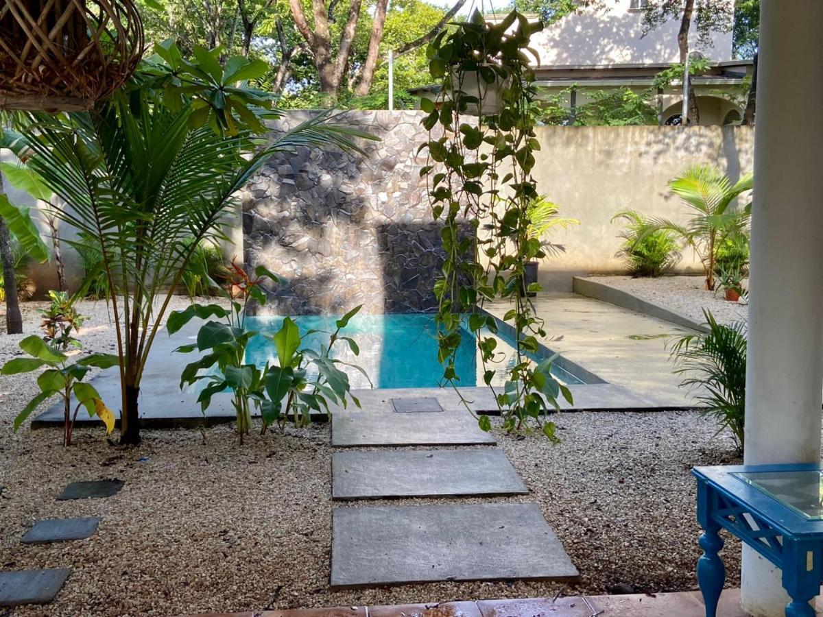 Casa Alice Marbella Lodge Εξωτερικό φωτογραφία