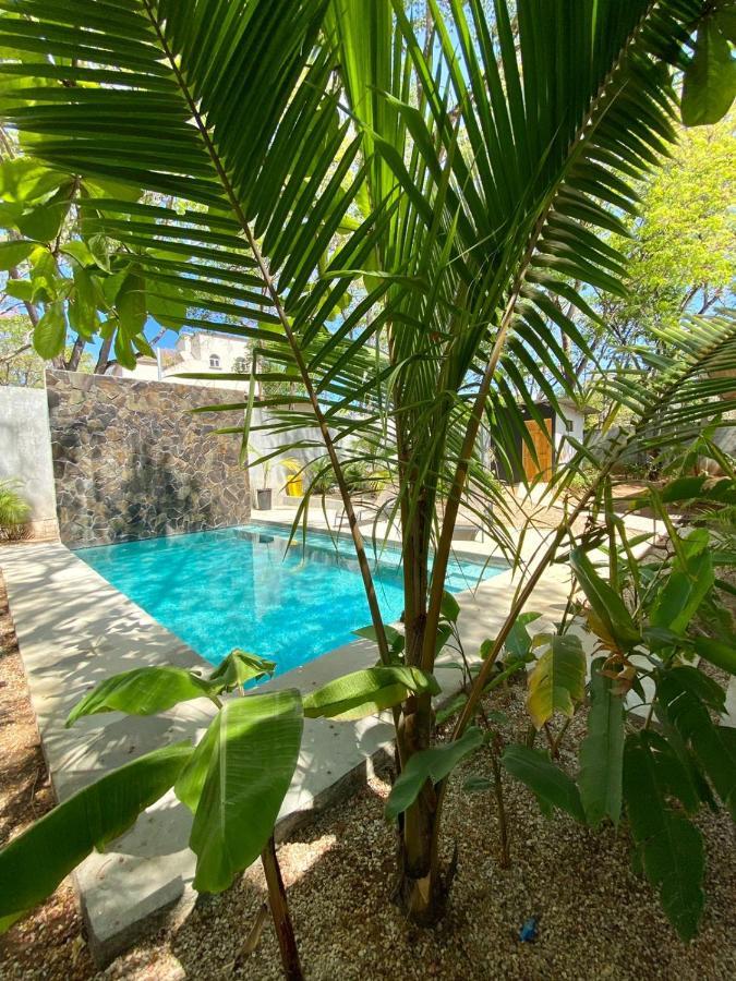 Casa Alice Marbella Lodge Εξωτερικό φωτογραφία