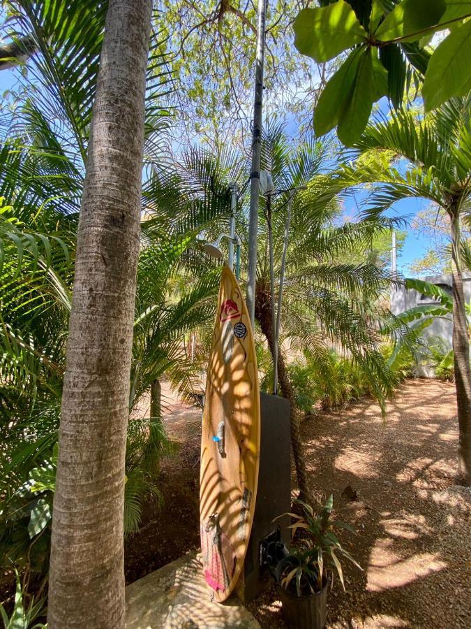 Casa Alice Marbella Lodge Εξωτερικό φωτογραφία