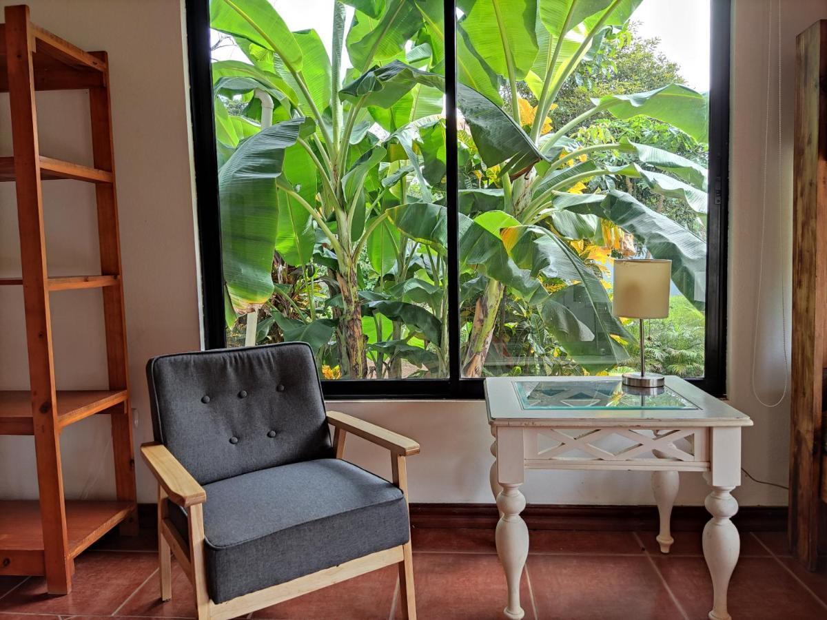 Casa Alice Marbella Lodge Εξωτερικό φωτογραφία