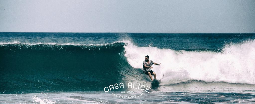 Casa Alice Marbella Lodge Εξωτερικό φωτογραφία
