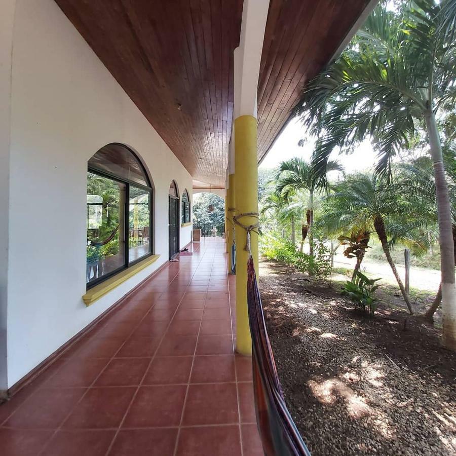 Casa Alice Marbella Lodge Εξωτερικό φωτογραφία